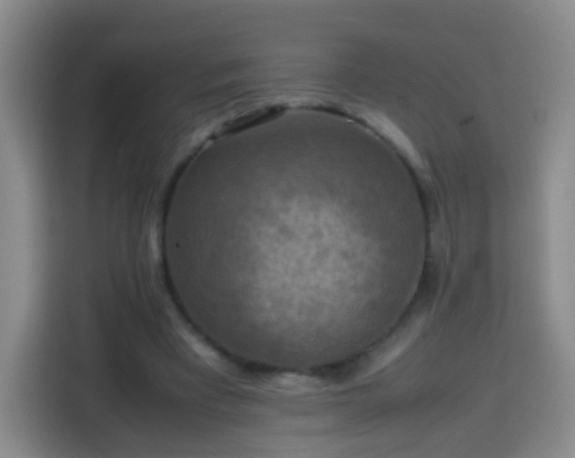 X0000113780393200909301154