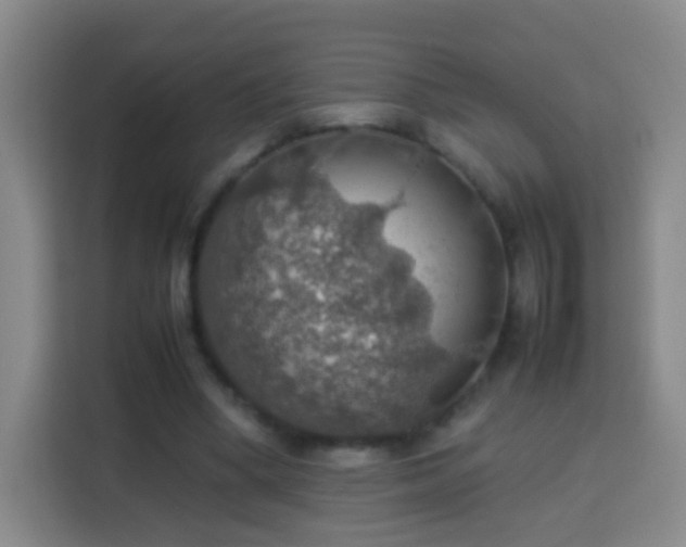 X0000113780394200909301154