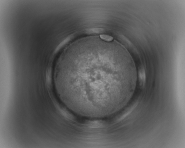 X0000113780396200909301154