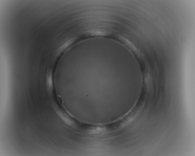 X0000113780398200909301154