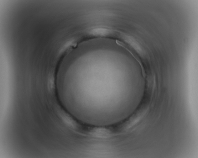 X0000113780399200909301154