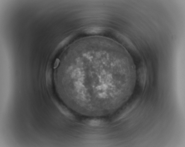 X0000113780400200909301154