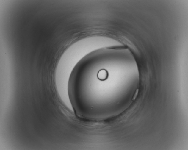 X0000113780401200909301153