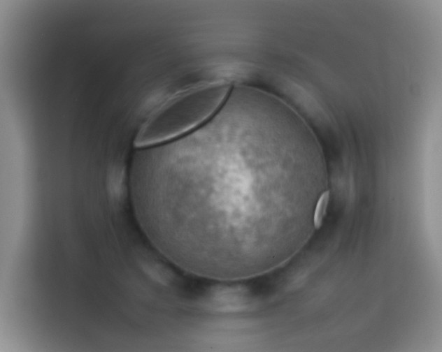 X0000113780403200909301153