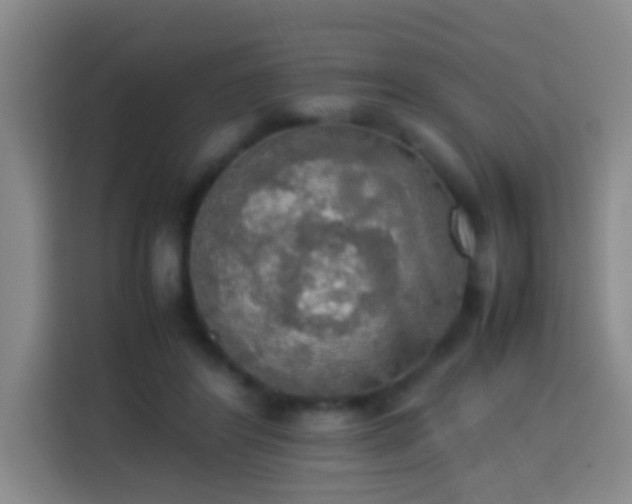 X0000113780404200909301153