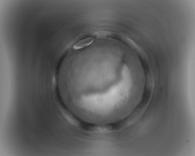 X0000113780405200909301153