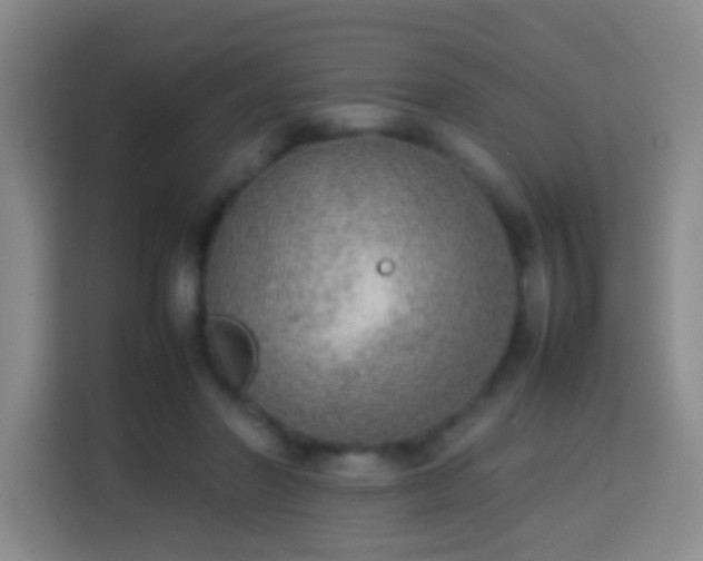 X0000113780406200909301153