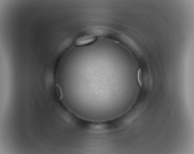 X0000113780407200909301153