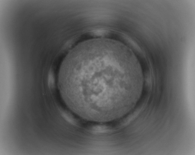 X0000113780408200909301153