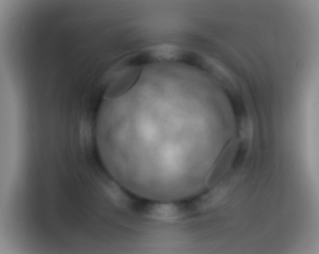 X0000113780409200909301153