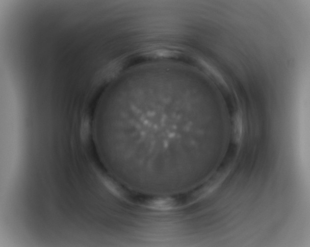 X0000113780410200909301153