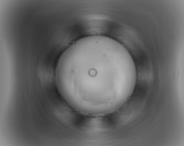 X0000113780411200909301153