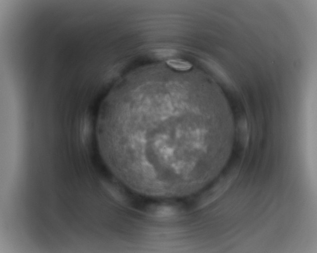 X0000113780412200909301153