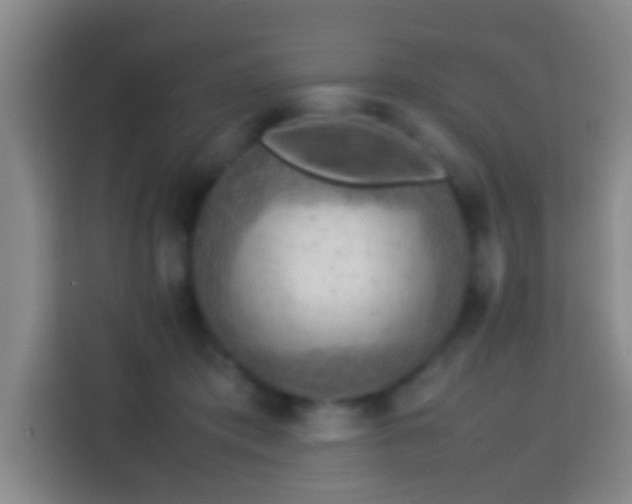 X0000113780413200909301153