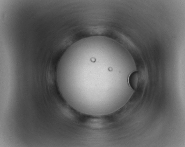 X0000113780414200909301153