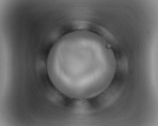 X0000113780415200909301153