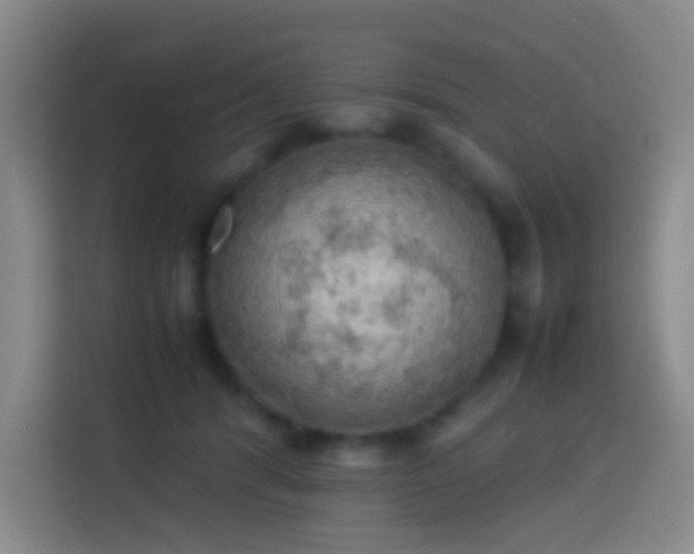 X0000113780416200909301153