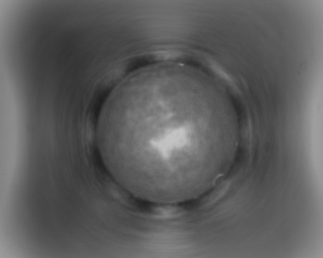 X0000113780417200909301153