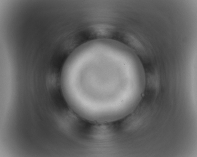 X0000113780419200909301153