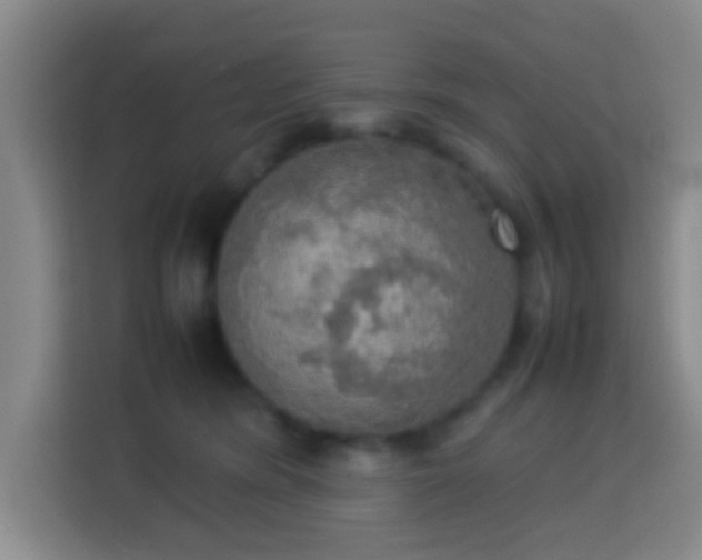 X0000113780420200909301153