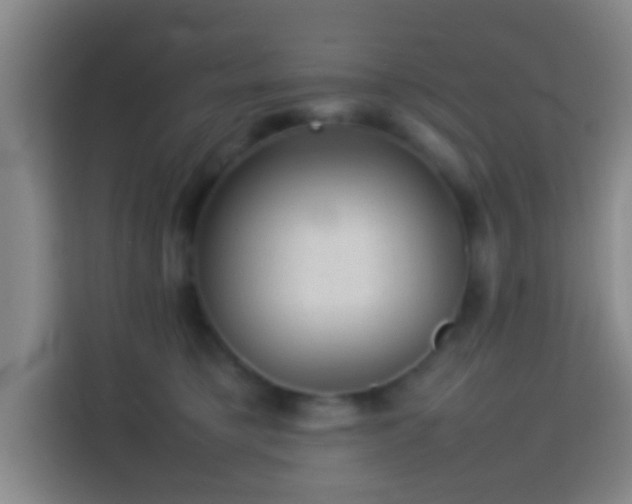 X0000113780421200909301153