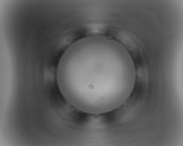 X0000113780423200909301153