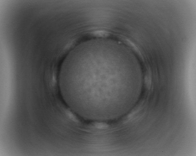 X0000113780424200909301153