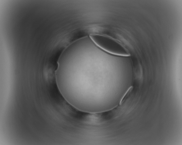 X0000113780425200909301153