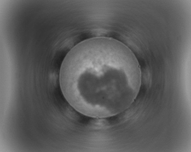 X0000113780427200909301153