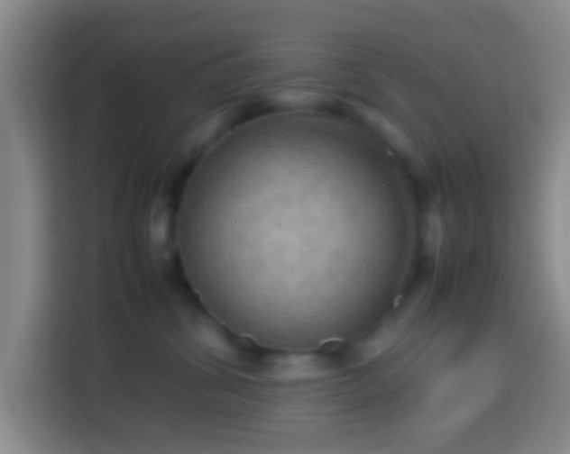 X0000113780428200909301153