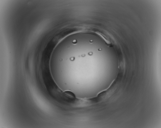 X0000113780429200909301153