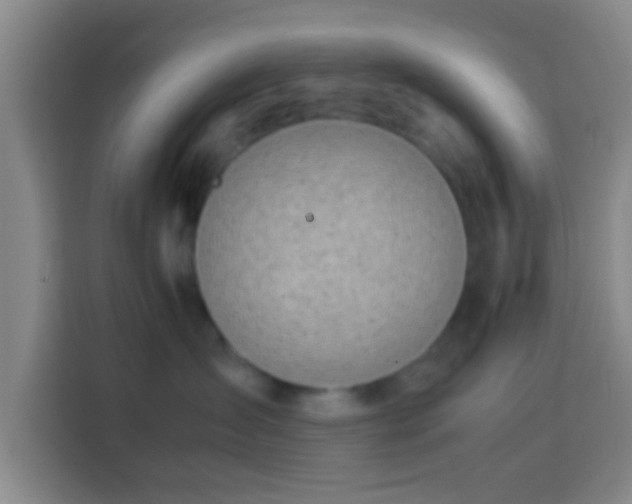 X0000113780431200909301153