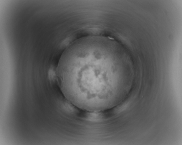 X0000113780432200909301153