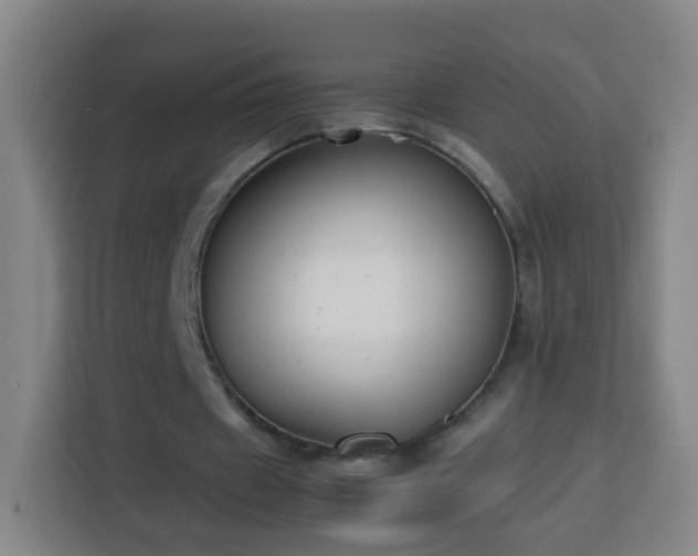 X0000113780433200909301152