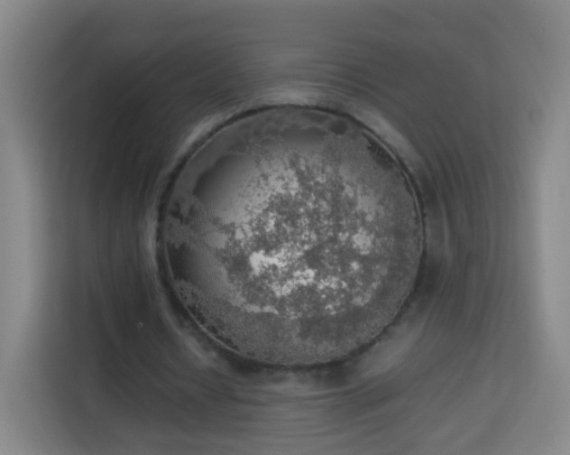 X0000113780434200909301152