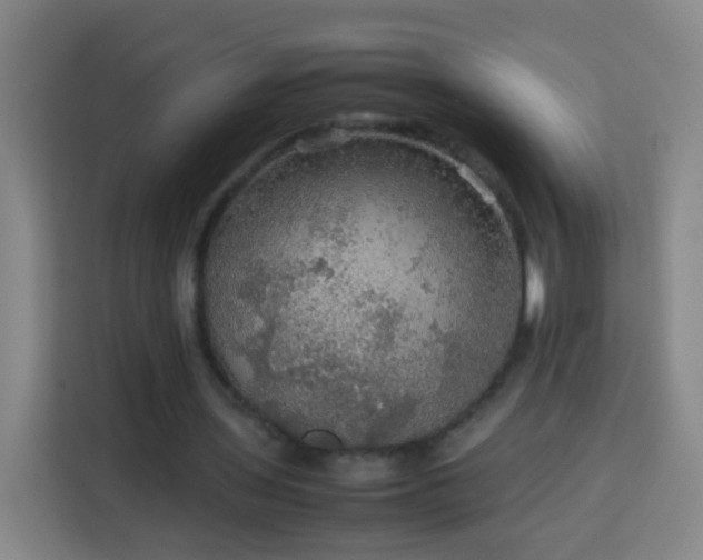 X0000113780435200909301153