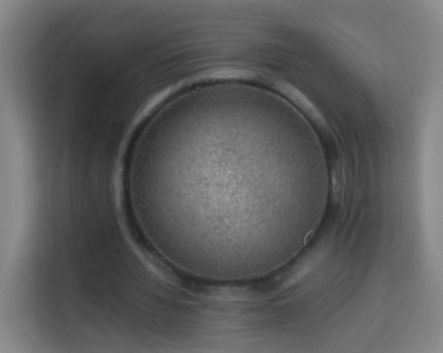 X0000113780436200909301153