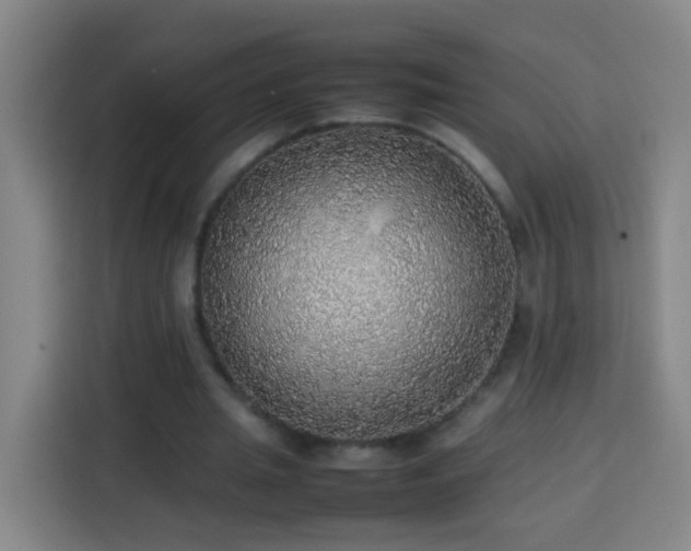 X0000113780437200909301153