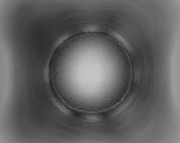 X0000113780439200909301153