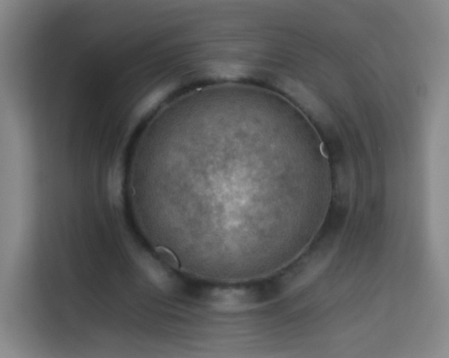 X0000113780440200909301153