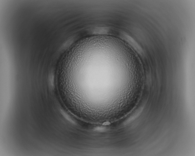 X0000113780441200909301153