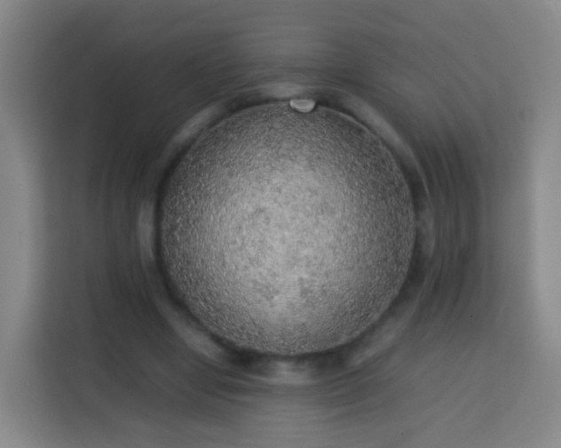 X0000113780442200909301153