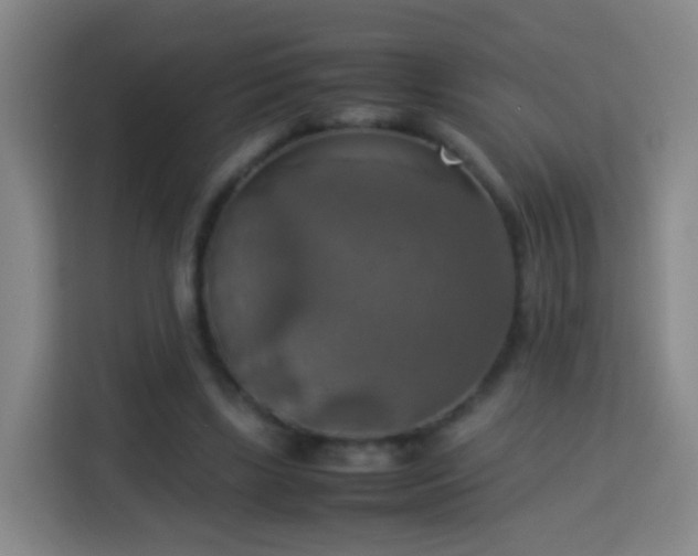 X0000113780443200909301153