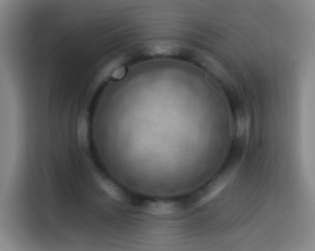 X0000113780444200909301153