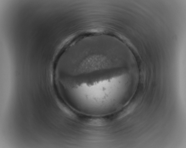 X0000113780446200909301153