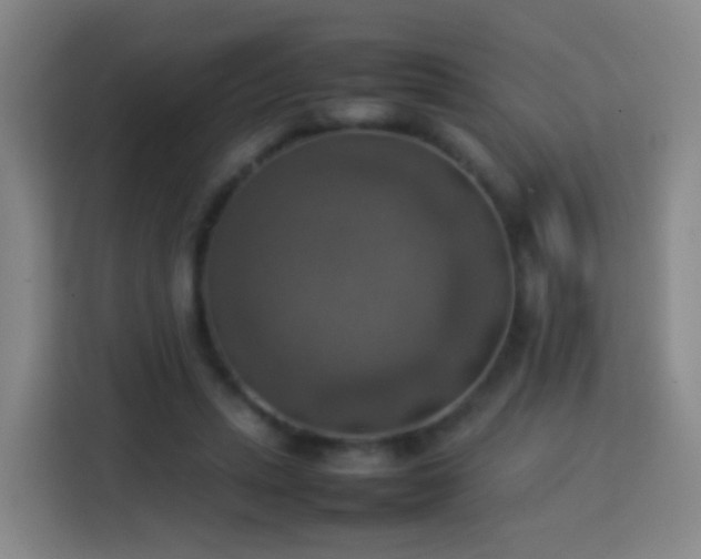 X0000113780447200909301153