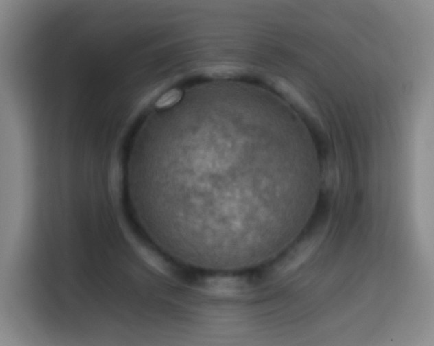 X0000113780448200909301153