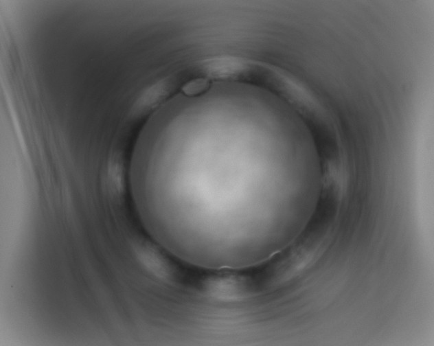 X0000113780452200909301153