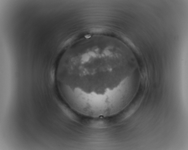 X0000113780454200909301153