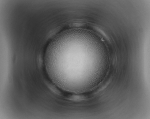 X0000113780455200909301153